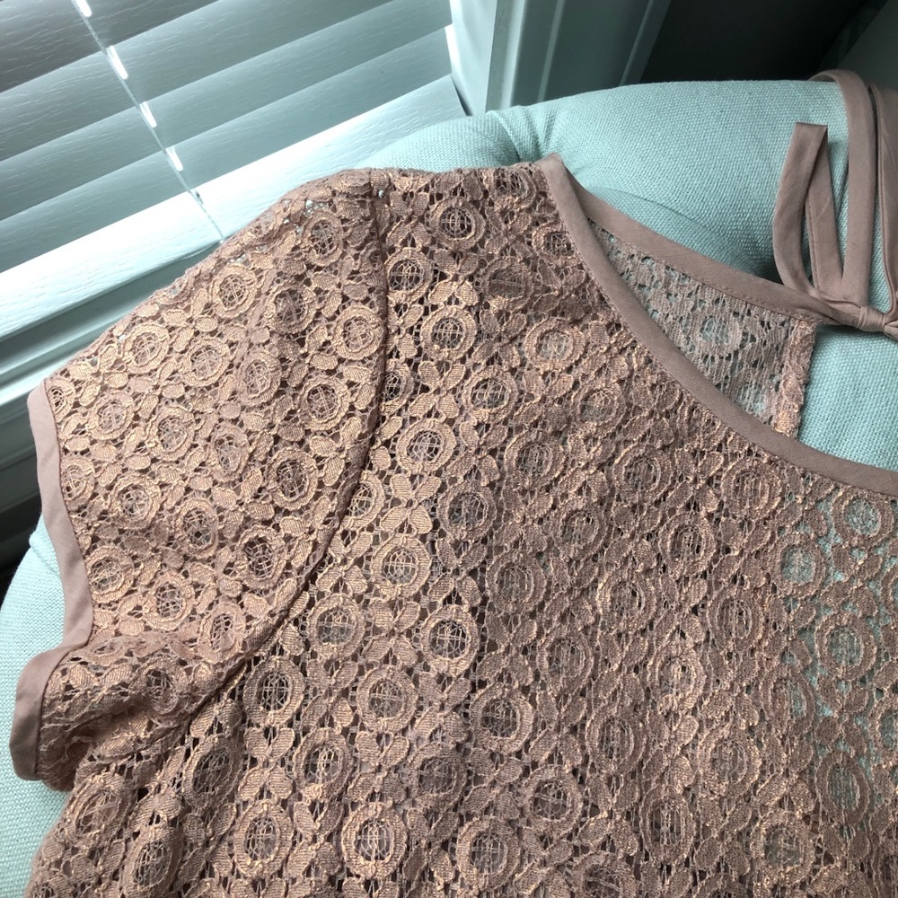 LOFT NWOT blush/gold lace shell dress - brand new!